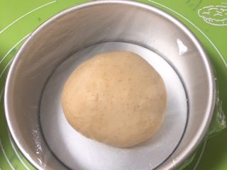 9、全麦豆沙面包,整理滚圆，面团放入模具盖上保鲜膜。