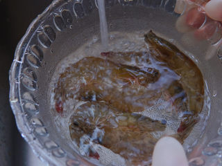 5、清蒸虾,反复冲洗两遍,去掉虾身上的杂质