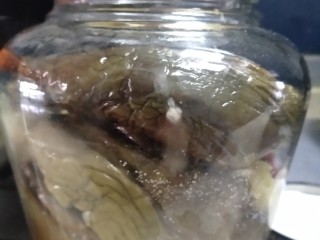 5、风味蒜茄子,存在干净的容器里，放入冰箱