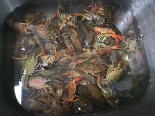 3、原味小龙虾,清水再洗2次。