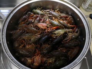9、原味小龙虾,放入龙虾,撒上姜丝及料酒(去腥)。