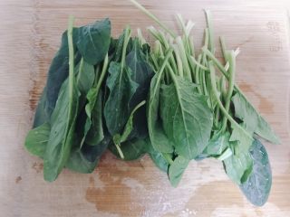 2、菠菜猪肝粥,菠菜洗干净切断。