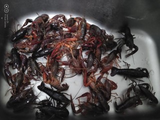 1、美味小龙虾,小龙虾放进洗碗池里。