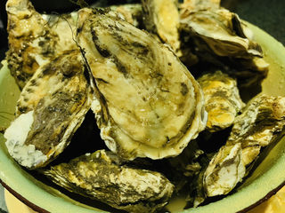 1、蒜蓉粉丝蒸生蚝,新鲜生蚝，用小刷子或者牙刷，边冲水边刷洗干净；