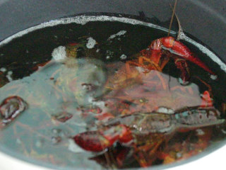 15、蒜香小龙虾,放入腌制好的小龙虾