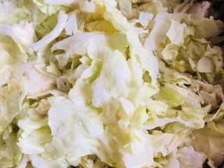 2、爆炒卷心菜,切开，撕成小片，洗净