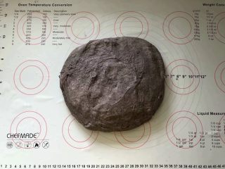 8、黑加仑黑米软欧包,8、取出面团轻轻按压排一下气。