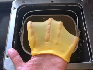 5、南瓜豆沙排包,5、和面功能结束后，面团达到完全扩展阶段。