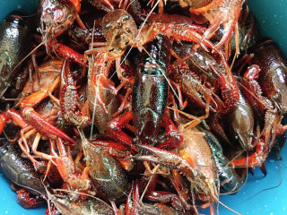 1、麻辣小龙虾,小龙虾先放在加白醋和盐的清水中浸泡、反复淘洗几次