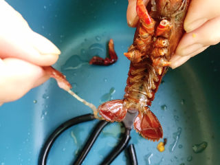 3、麻辣小龙虾,并将虾线扯下来(顺着尾端中间夹片旋转拔出)