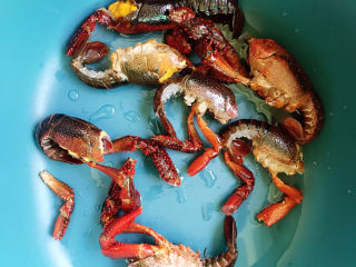 4、麻辣小龙虾,然后用牙刷从头刷到尾