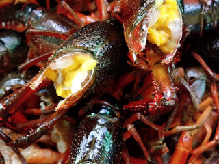 5、麻辣小龙虾,再用清水冲洗几次至完全干净。