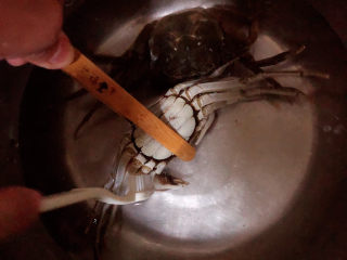 2、螃蟹炒年糕,将螃蟹洗刷干净。