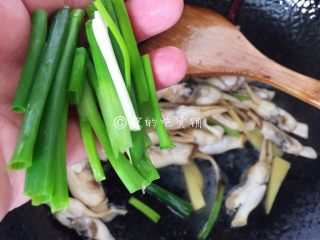 12、金牌葱姜巧烹蛏,加入葱叶段，快速的翻炒均匀，关火出锅。