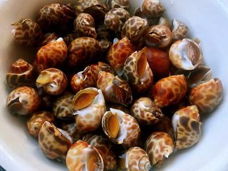 1、香辣花螺,花螺是南方的美味在北方很难见到今天遇到新鲜的花螺就果断买回来准备把好吃的做起来花螺洗净备用