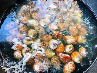 3、香辣花螺,花螺不能煮至时间过长只要开锅即可关火即可