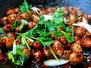 9、香辣花螺,撒上葱花和香菜提鲜即可出锅享用