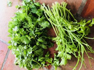 4、客家小吃：蒜苗粿（葫粄）➕菜头粄,芹菜择去叶子，洗净