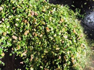 27、客家小吃：蒜苗粿（葫粄）➕菜头粄,开大火，加入蒜叶快速翻炒至蒜叶变色。这个就是要炒青，一旦蒜苗变黄色就不好吃。