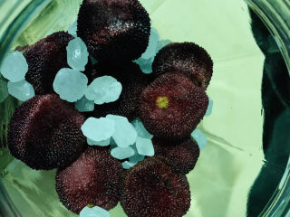 12、杨梅酒,再一层杨梅