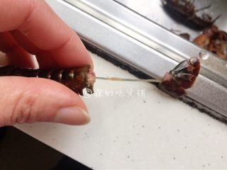 1、小龙虾奶酪快手酥饼,因为是剥虾肉,所以尾巴那里整个折断后轻轻扭一扭,再一抽,泥筋就整个被抽出来了。