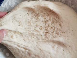9、山药馒头,面已发好 有了很多的蜂窝状孔洞
