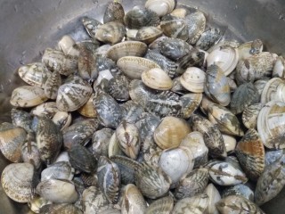 2、冬瓜蛤蜊汤,蛤蜊吐沙，洗净。上锅，添适量水烧开即可。