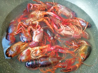 4、青花椒辣卤小龙虾,水不用烧开，随着水温慢慢升高，小龙虾变色以后即可关火。