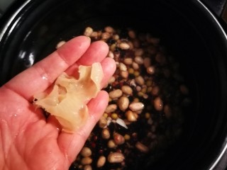8、黑米红豆粥,放入银耳