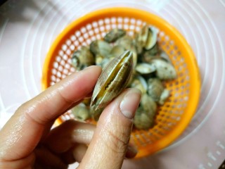 4、香辣花蛤,烫至花蛤微微张开后捞出用清水冲洗几遍。