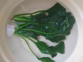 3、菠菜蛋卷,捞出放入冷水中