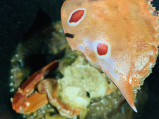 17、香辣梭子蟹,起锅