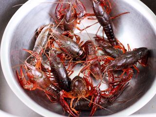 1、双椒麻辣小龙虾,首先把小龙虾，放到一个大一点的盆子里。