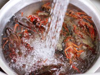 3、双椒麻辣小龙虾,处理好的小龙虾用淡盐水浸泡半个小时后，再用清水反复冲洗干净。
