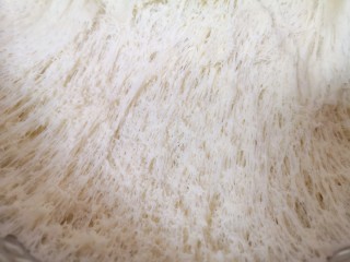 11、青菜油渣包,看一下面团，发酵的很好。