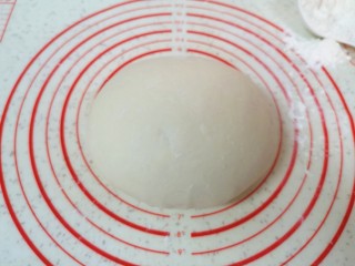 12、青菜油渣包,将发酵好的面团揉光排气。