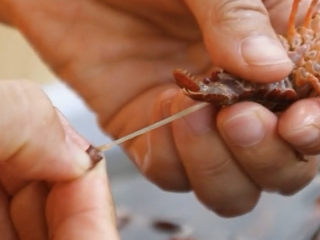 6、爆炒小龙虾,最后去掉虾线，去虾线的方法，拔下虾尾巴中间的那一片，拔出来就会跟出虾线了