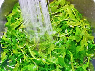 1、芥菜饺子,买回来的荠菜，冷水冲洗，再用盐水泡15分钟。