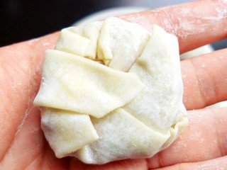 19、馄饨皮烧麦馅煎饼,包成这样。