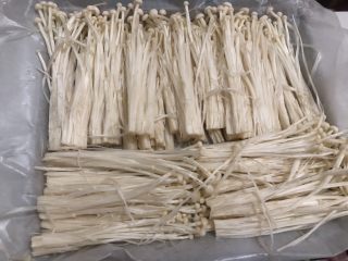 12、孜然金针菇,把金针菇摆好