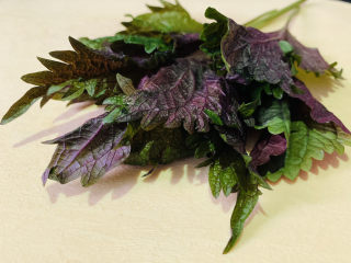 1、紫苏炒田螺,紫苏叶洗净;