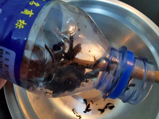 2、梅干菜肉包,非得用力挖