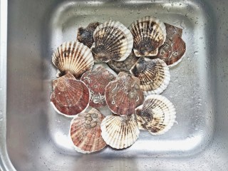 1、芝士焗扇贝,将扇贝洗干净外壳，拿牙刷多刷