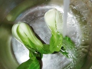 2、西红柿面疙瘩,青菜冲洗干净
