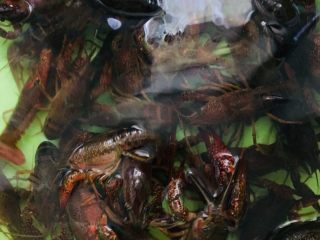 1、蒜蓉小龙虾,小龙虾买回来用清水浸泡二小时，让它吐出脏东西。