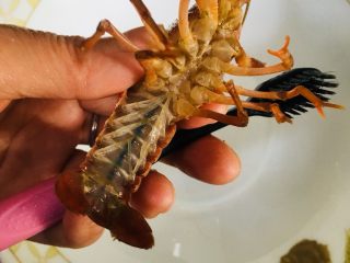 2、蒜蓉小龙虾,泡完后用牙刷，一手拿小龙虾，一手用牙刷轻刷小龙虾的全身，刷时对着水龙头，边刷边冲。因为两手都用起来了，不好照相，所以只拍下了虾和牙刷。