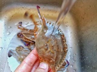 2、干锅香辣蟹,螃蟹刷洗干净，剪去蟹脚免得被夹。
