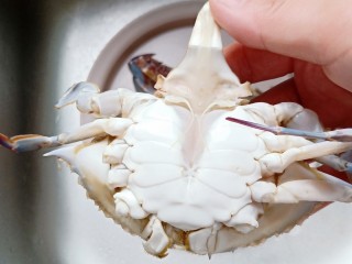 3、干锅香辣蟹,剪去蟹的三角位置。