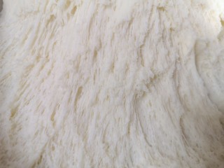 9、胡萝卜韭菜馅包子,看一下面团，发酵的很好。