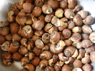 1、泰式酸辣小白螺,小白螺洗干净备用